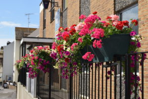 Colourful flowers in baskets on the railings outside 37 Church Street, Seaford.