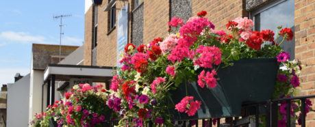 Colourful flowers in baskets outside 37 Church Street in Seaford.