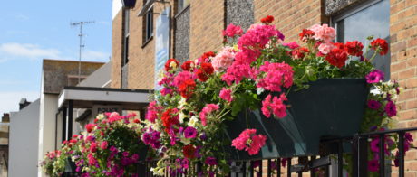 flowers outside 37 Church Street