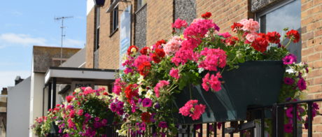 Colourful flowers in baskets outside 37 Church Street in Seaford.