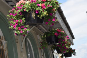 Colourful flowers in hanging baskets haning on the outside Seaford train station.