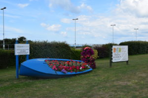 Colourful flower displayed in a blue boot on the grass oposite Morrisons petrol station.