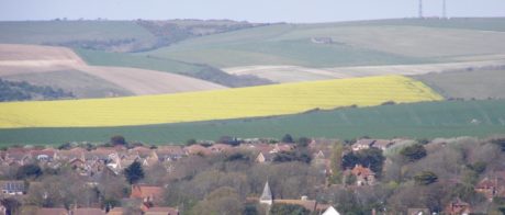 Aerial view of The Crouch in Seaford.