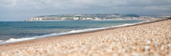 Seaford Beach Clean