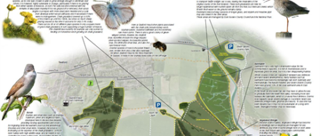 A map showing all the local flora and fauna and wildlife in the Seaford area.