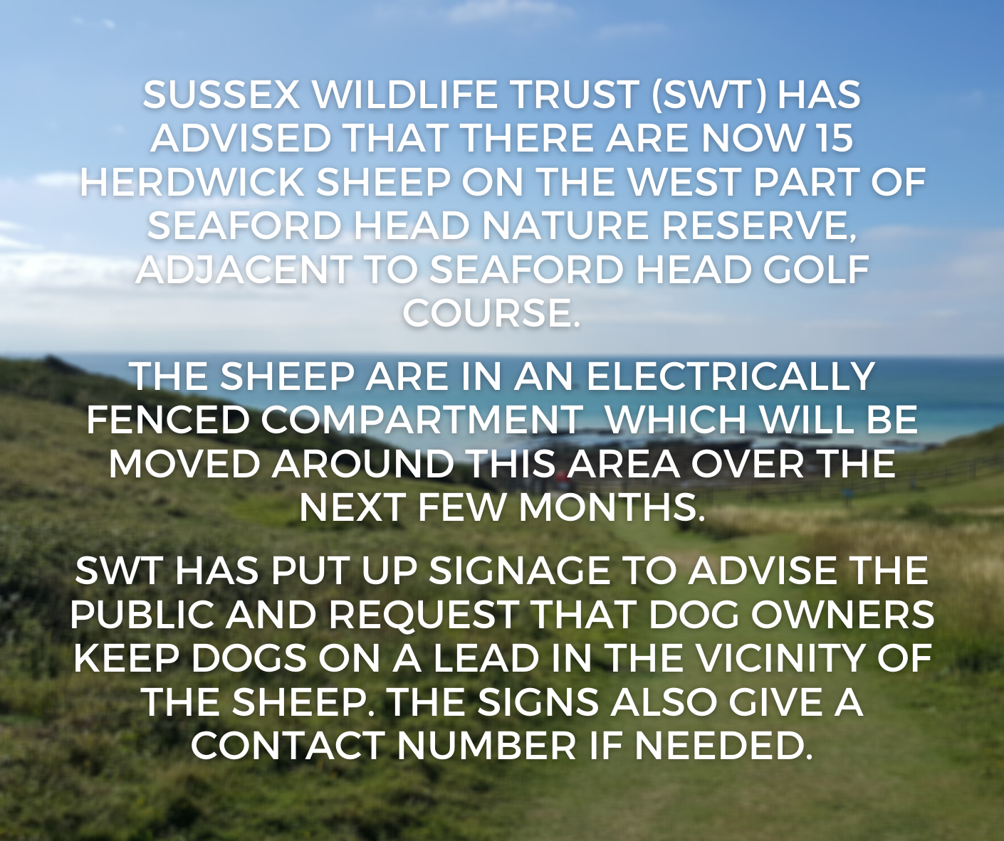 This is an image containing a message saying that 15 Herdwick Sheep are now on the Reserve to thee West of the Golf Course and how dog owners should keep dogs on a lead near the sheep plus that there are signs up in that area which gives a telephone number if needed. 