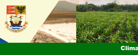 dry land, green farmers field and the sea.