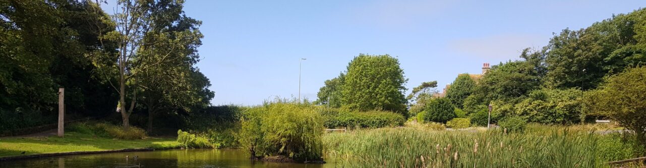 east blatchington pond in seaford with water lilies