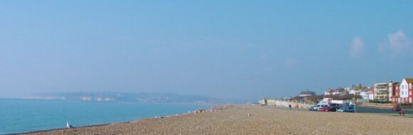 Seaford Beach Clean