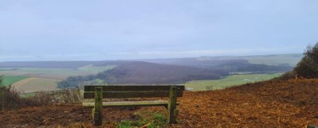 A bench at High and Over.