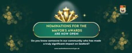 Gold stars to represent the mayor's nominations for her awards.