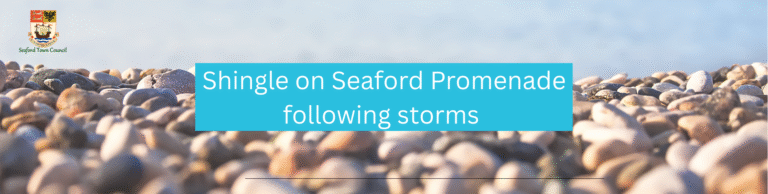 Pebble with sea in the distance with the wording 