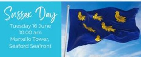 Sussex Flag, dark blue with yellow birds on the front.